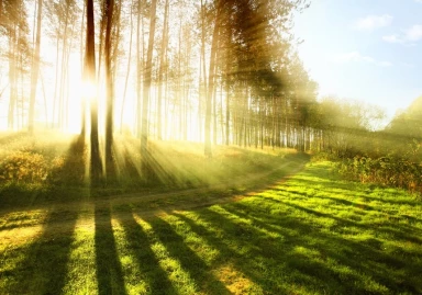 Sunce – zvezda od koje zavisi opstanak ili glavni krivac?