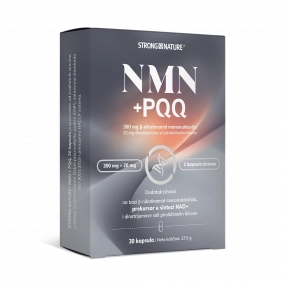 NMN+PQQ